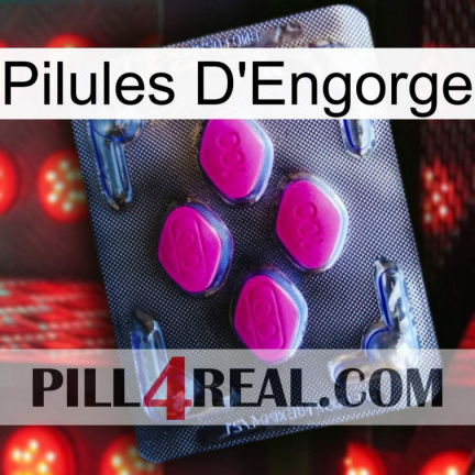 Engorge Pills 02